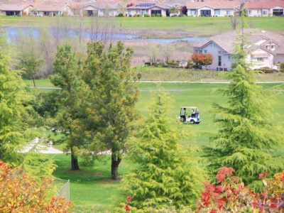 golf_cart_-_homes_in_bkgrnd_400