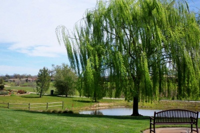 greenbelt_to_golf_course_400